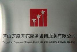 唐山芝麻開花商務咨詢服務