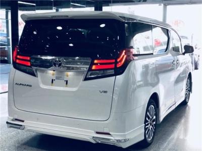 埃爾法四座櫻花版蒙娜麗莎商務車驚艷全國